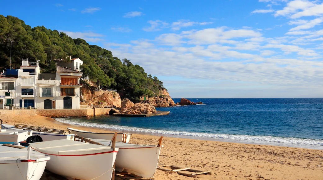Your Perfect Home away from Home. Coastal Getaways in Tamariu & Calella de Palafrugell with EasyFlat. Locally managed.