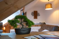 Appartement cosy à l'ambiance d'un chalet de montagne.